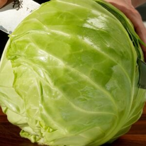 Few people cook cabbage like this! I have never eaten such a delicious dinner!